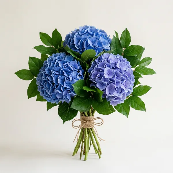 Hydrangea Bouquet